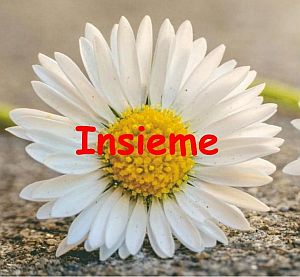 Insieme1.1